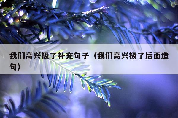 我们高兴极了补充句子（我们高兴极了后面造句）