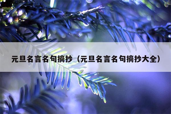 元旦名言名句摘抄（元旦名言名句摘抄大全）