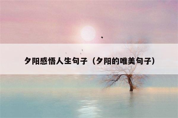 夕阳感悟人生句子（夕阳的唯美句子）