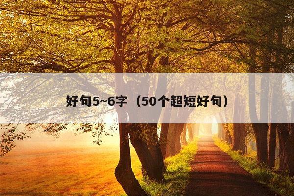 好句5~6字（50个超短好句）