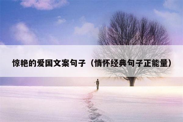 惊艳的爱国文案句子（情怀经典句子正能量）