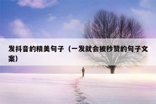 发抖音的精美句子（一发就会被秒赞的句子文案）