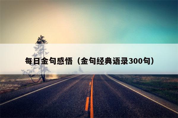 每日金句感悟（金句经典语录300句）