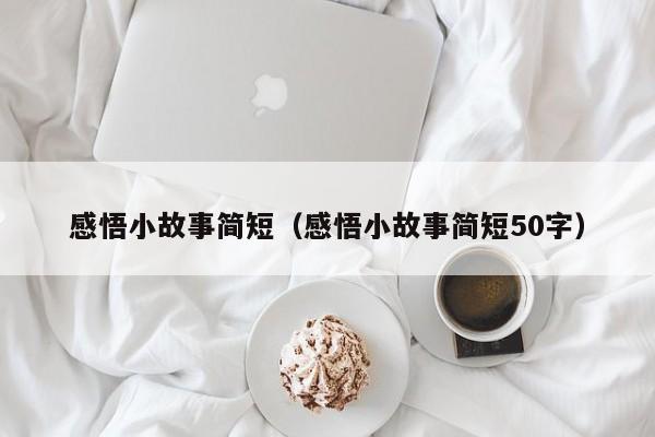 感悟小故事简短（感悟小故事简短50字）