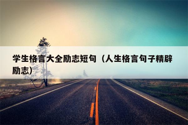 学生格言大全励志短句（人生格言句子精辟 励志）