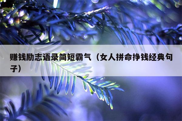 赚钱励志语录简短霸气（女人拼命挣钱经典句子）