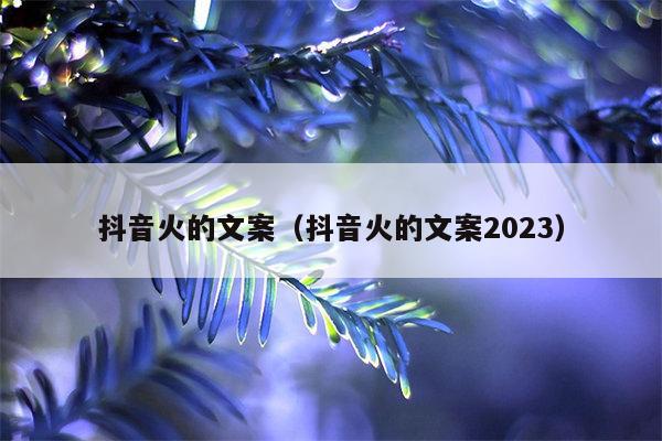 抖音火的文案（抖音火的文案2023）