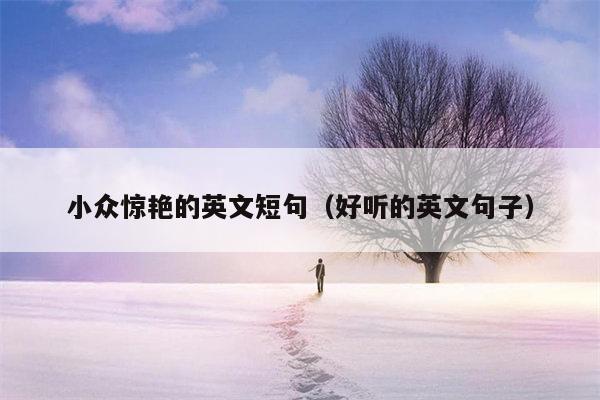 小众惊艳的英文短句（好听的英文句子）