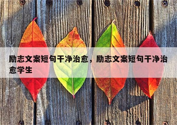 励志文案短句干净治愈，励志文案短句干净治愈学生