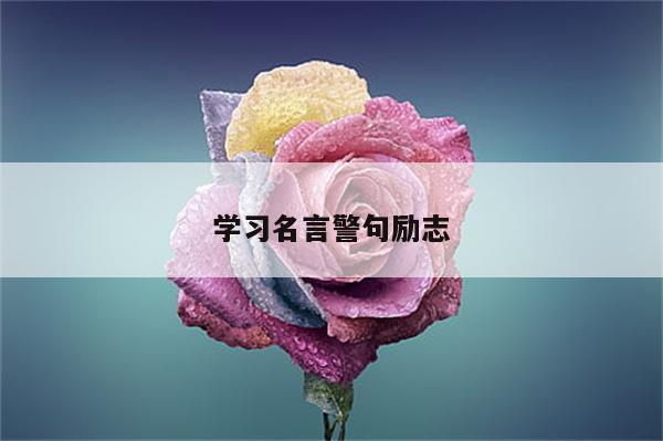 学习名言警句励志