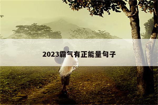 2023霸气有正能量句子