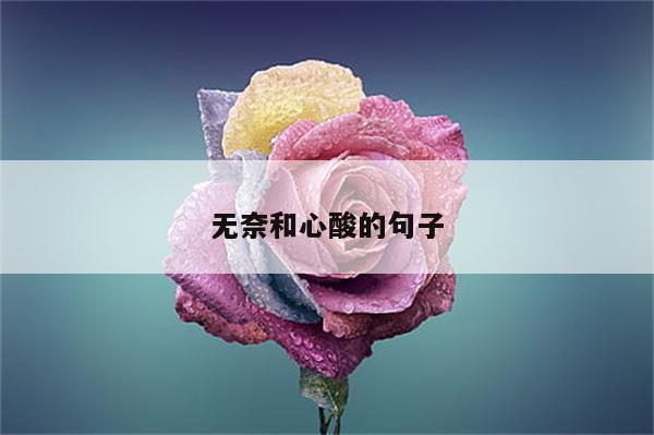 无奈和心酸的句子