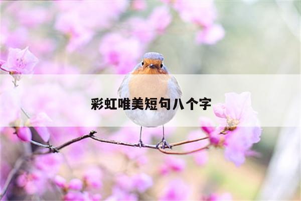 彩虹唯美短句八个字