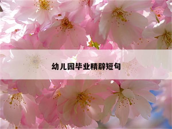 幼儿园毕业精辟短句