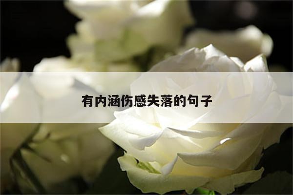 有内涵伤感失落的句子