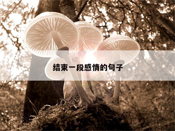 结束一段感情的句子